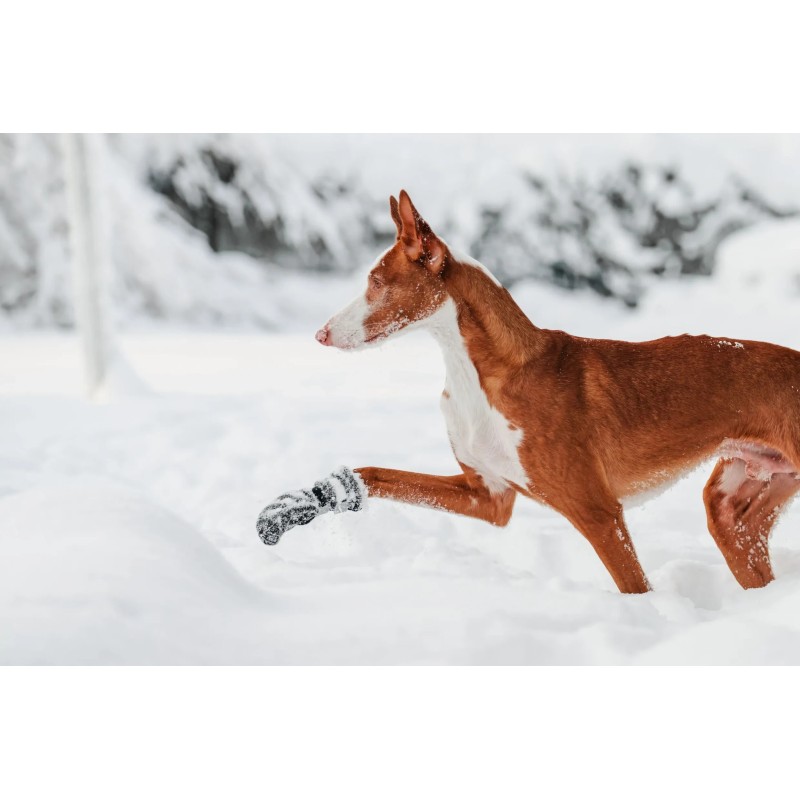 Rukka Fleece Boots | Botas de fleece para perro 4 uds.