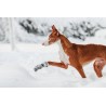 Rukka Fleece Boots | Botas de fleece para perro 4 uds.