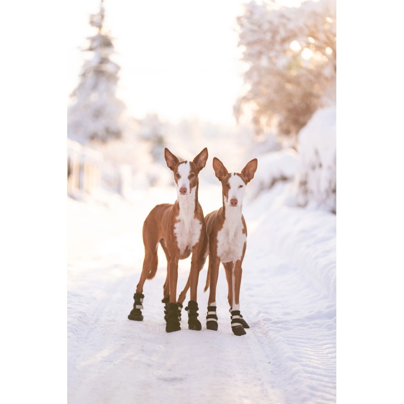 Rukka Fleece Boots | Botas de fleece para perro 4 uds.