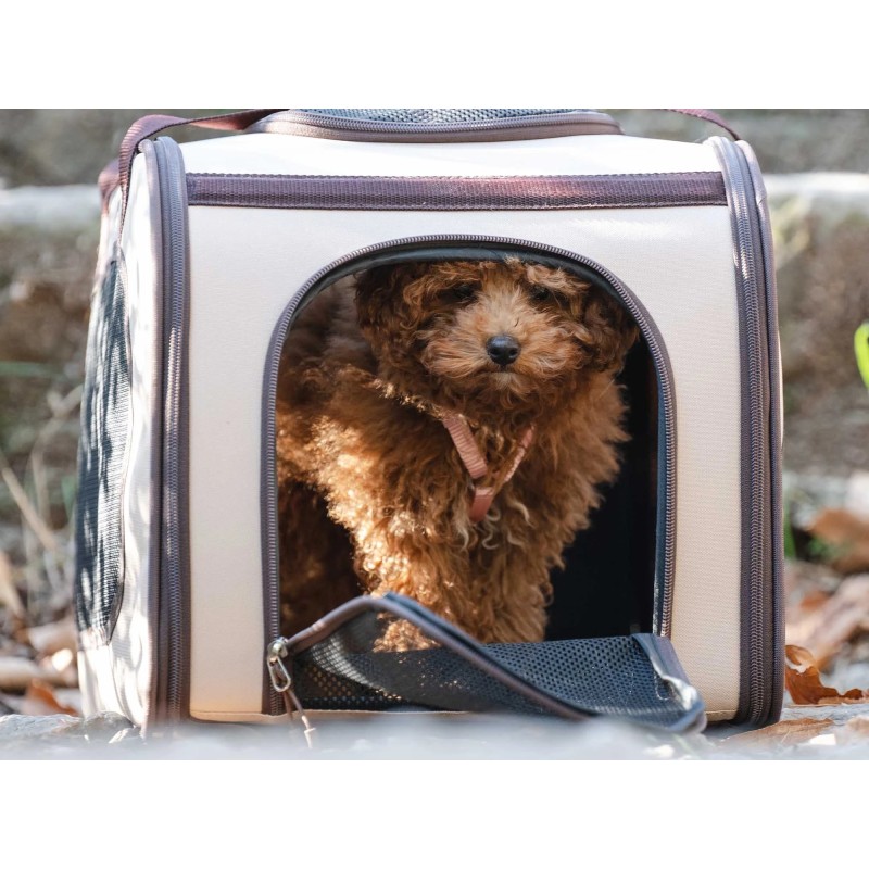 Freedog TravelTails para Vueling | Perros pequeños