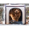 Freedog TravelTails para Vueling | Perros pequeños