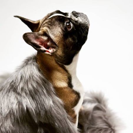 Manta para perros TÖSSE