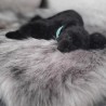 Manta para perros Föra