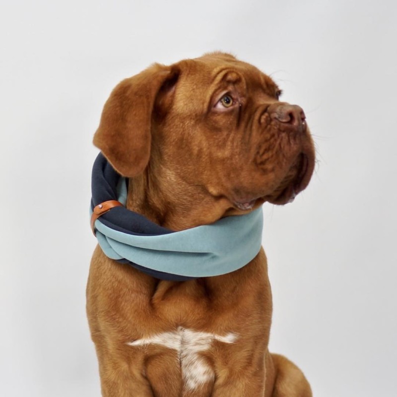 Bufanda para perros SIMO
