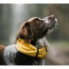 Bufanda para perros SIMO
