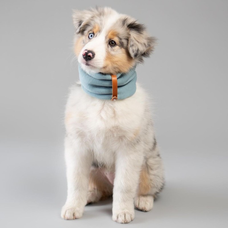 Bufanda para perros SIMO