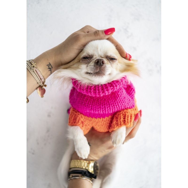 Jersey para perro NEONRUSH