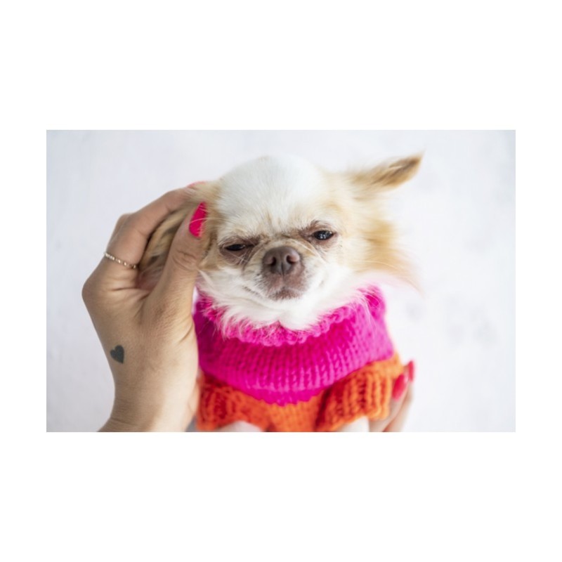 Jersey para perro NEONRUSH