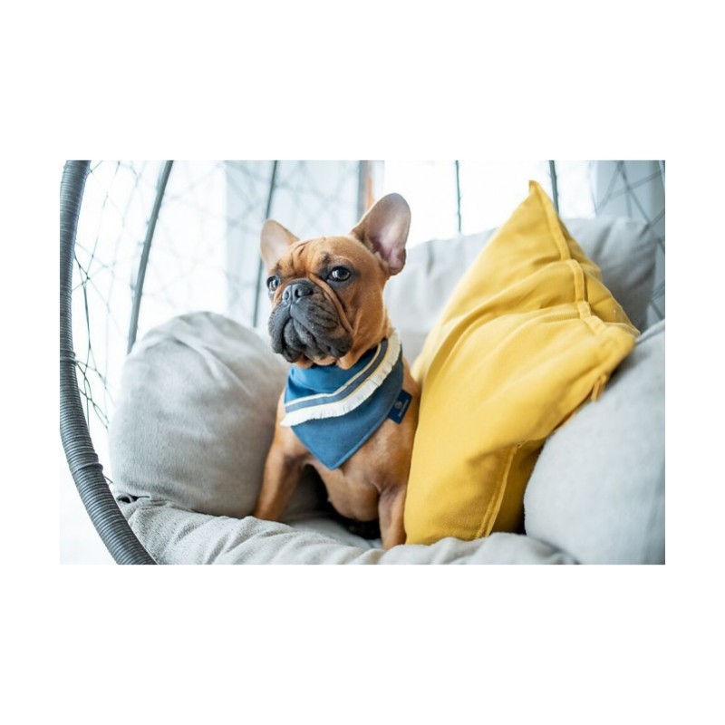 Pañuelo para perro Allure