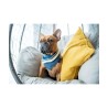 Pañuelo para perro Allure