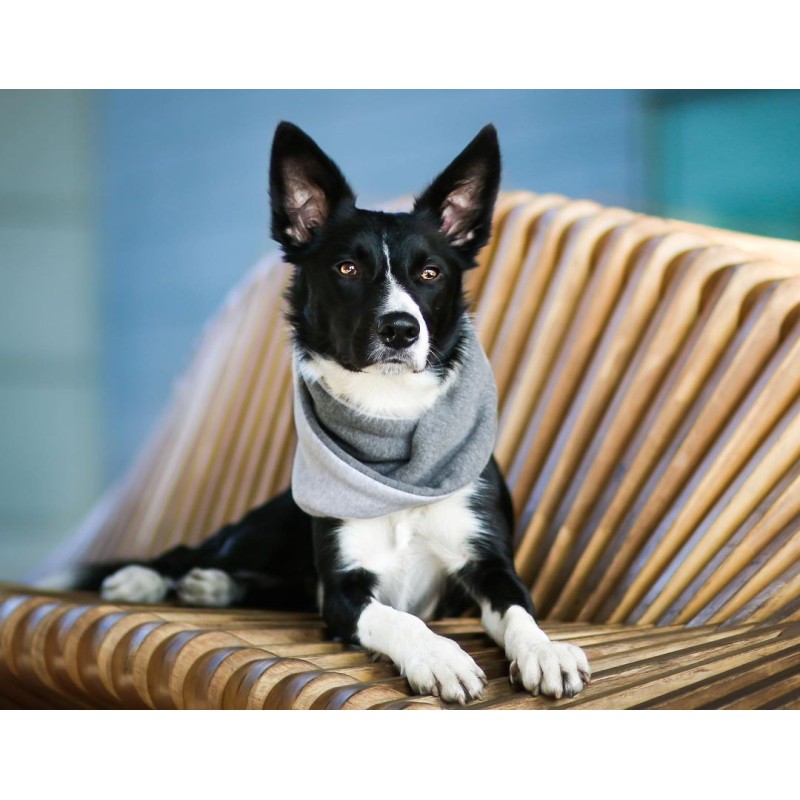 Bufanda para perros SIMO