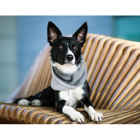 Bufanda para perros SIMO