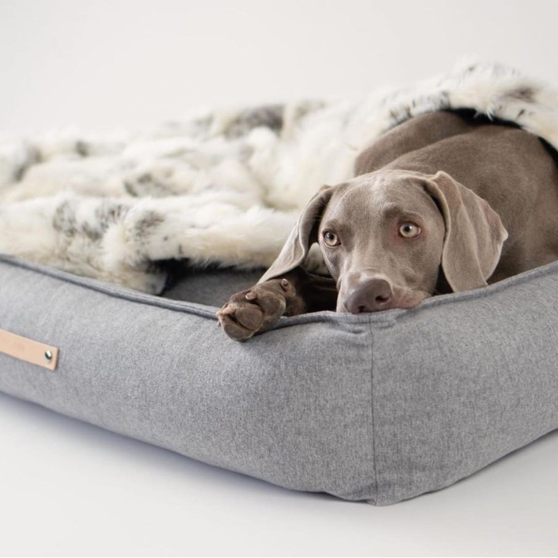 Cama para perros elegante MØVIK Gris