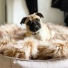 Manta para perros Föra