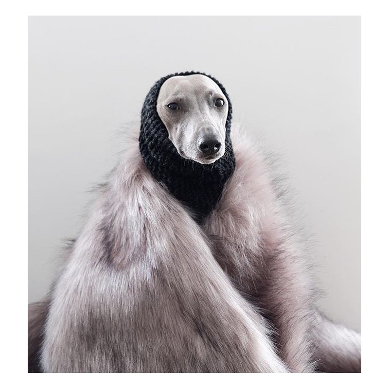 Manta para perros Föra