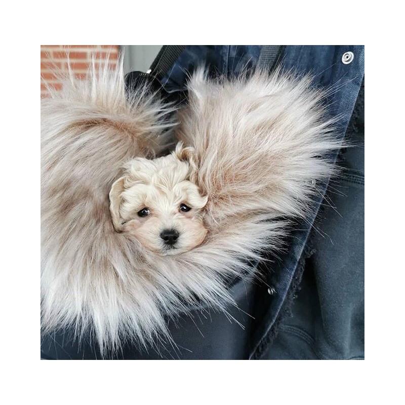 Manta para perros Föra