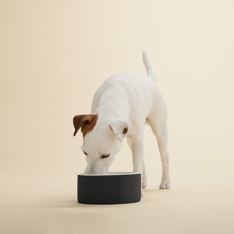 PAIKKA Cool Bowl | Bebedero refrescante para perro