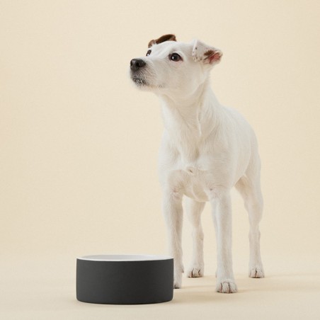 Bebedero para perro frío refrescante