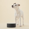 PAIKKA Cool Bowl | Bebedero refrescante para perro