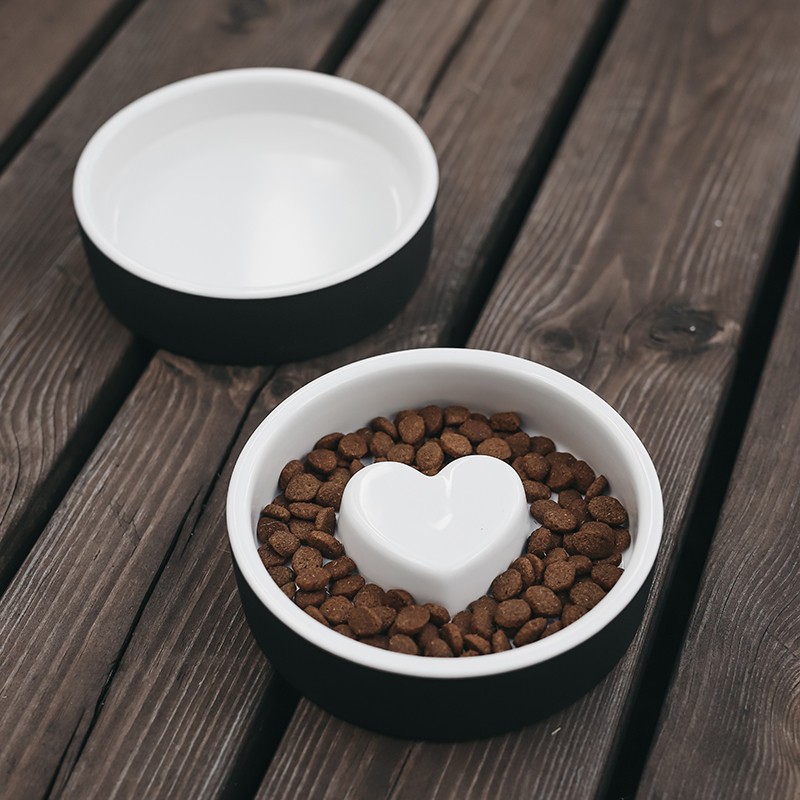 PAIKKA Cool Bowl | Bebedero refrescante para perro