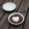 PAIKKA Cool Bowl | Bebedero refrescante para perro