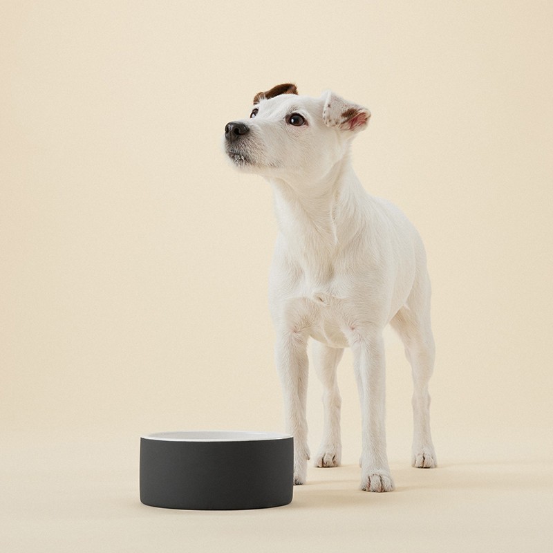 PAIKKA Slow Feed Bowl | Comedero antivoracidad para perro