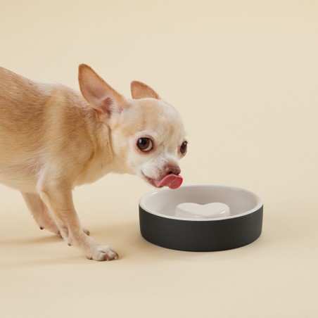 Comedero para perros ansiosos PAIKKA