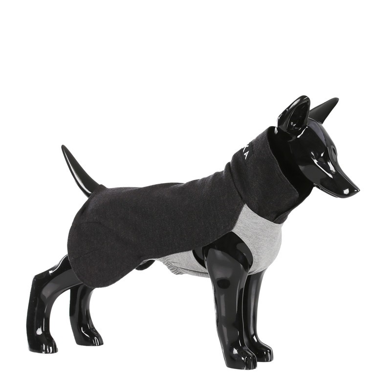 Jersey para invierno perro