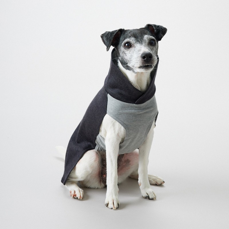 PAIKKA Recovery Winter Shirt | Jersey FIR para perro