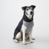 PAIKKA Recovery Winter Shirt | Jersey FIR para perro