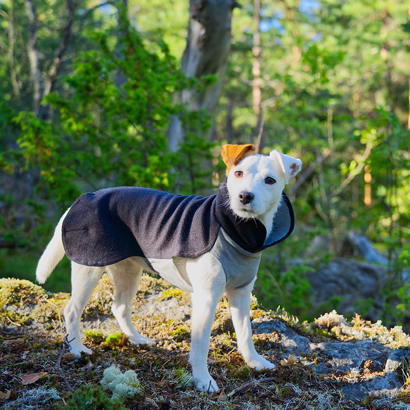 PAIKKA Recovery Winter Shirt | Jersei FIR per a gos