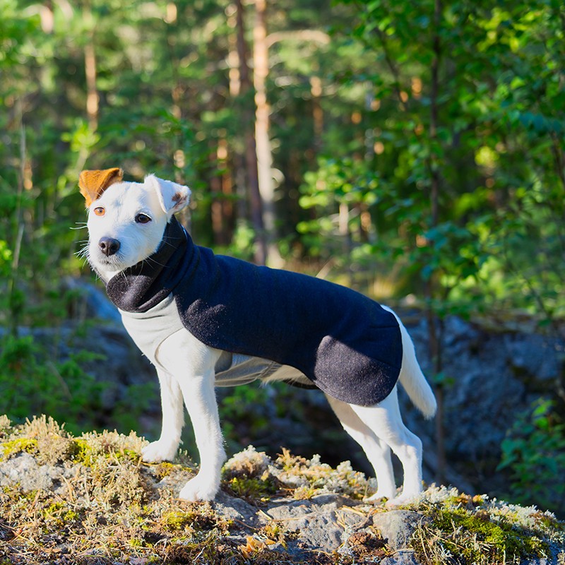 PAIKKA Recovery Winter Shirt | Jersei FIR per a gos