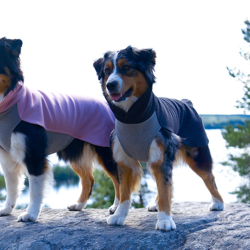 PAIKKA Recovery Winter Shirt | Jersey FIR para perro