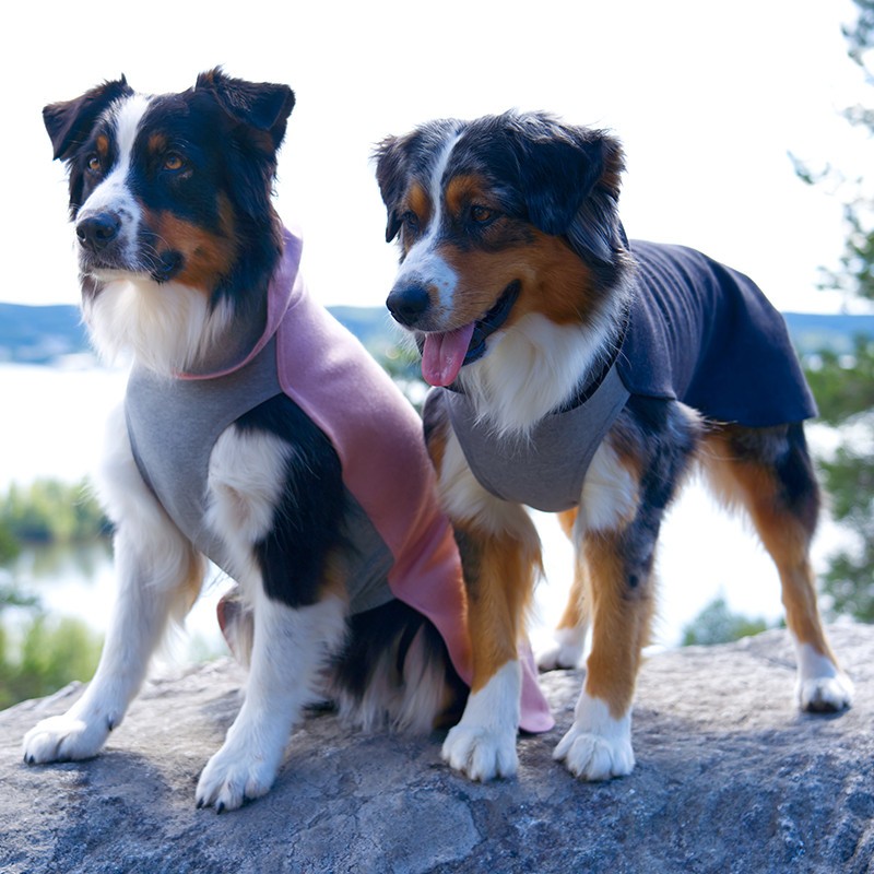 PAIKKA Recovery Winter Shirt | Jersey FIR para perro