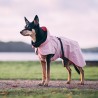 Chubasquero Rosa Visibility Lite