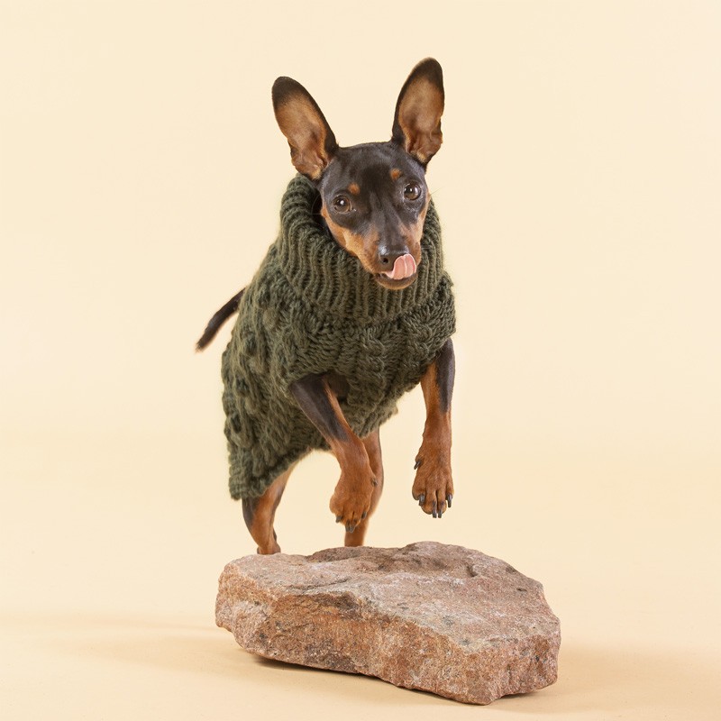 Jersey PAIKKA de lana para perro | Handmade Knit Sweater