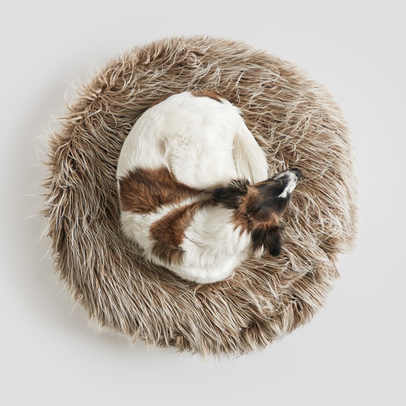 Puf Yeti para mascotas