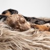 Cama para perro Yeti
