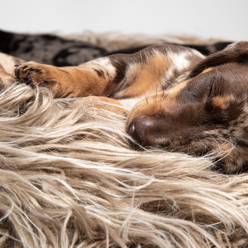 CLOUD7 Yeti: cama redonda y mullida para perro | Smartdog