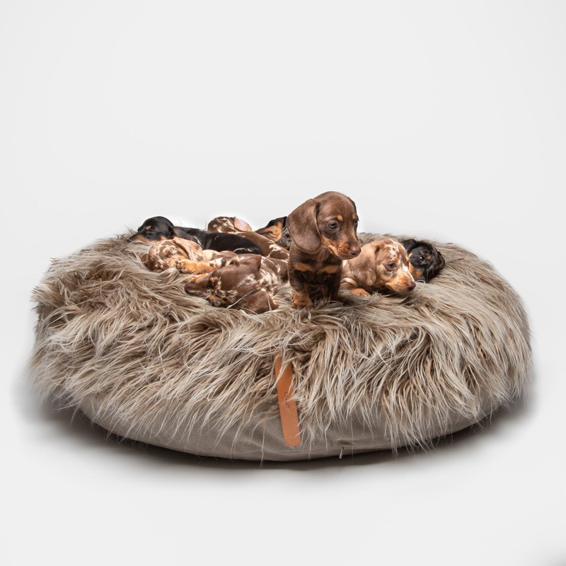 CLOUD7 Yeti: cama redonda y mullida para perro | Smartdog