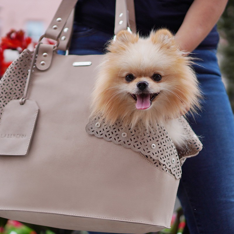 Bolso para perro ELVA gris