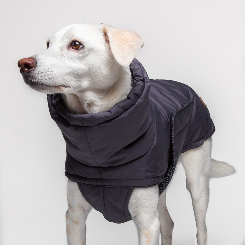 Abrigo para perros Yukon Gris Piedra