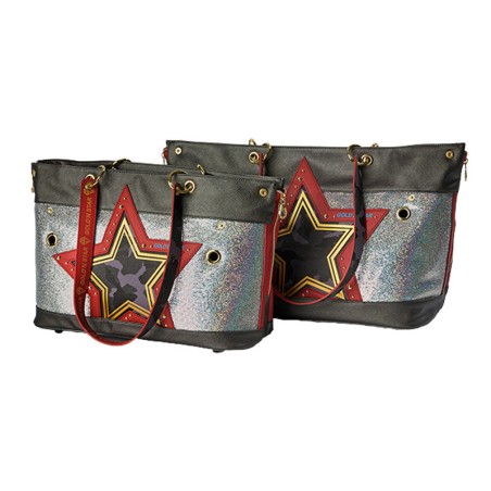 Bolso fashion Paillettes