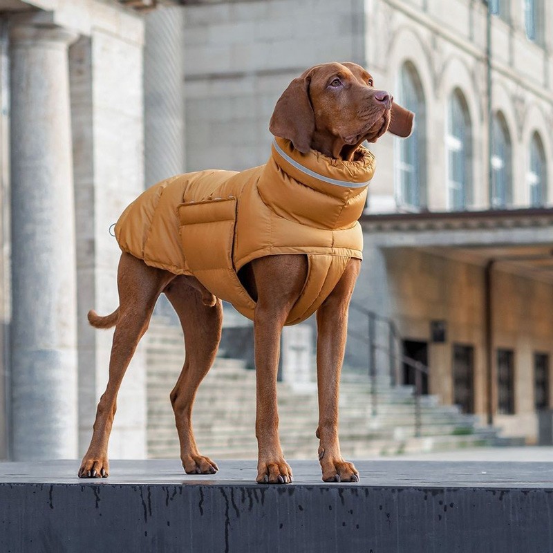 Cloud7 Yukon: abrigo de invierno para perro | Smartdog