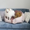 Cama perros cuquis Glamour