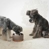 VUKU bufé simple para perros