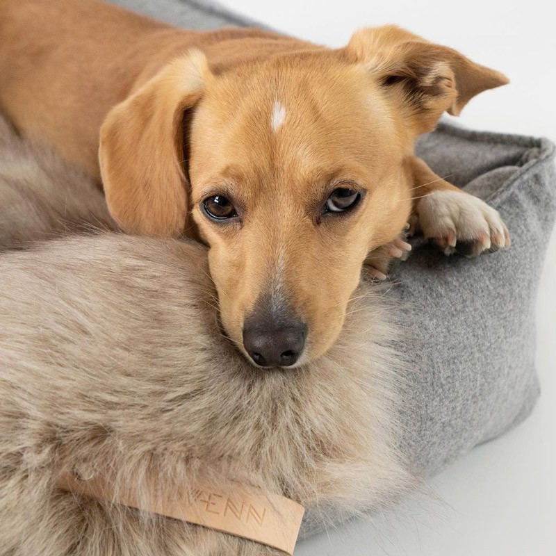 Cama para perros elegante MØVIK Gris