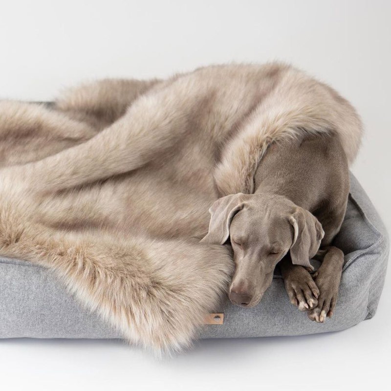 Cama para perros elegante MØVIK Gris