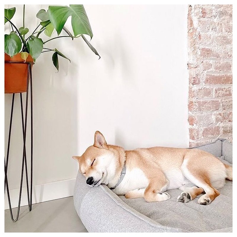 Cama para perros elegante MØVIK Gris