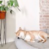 Cama para perros elegante MØVIK Gris